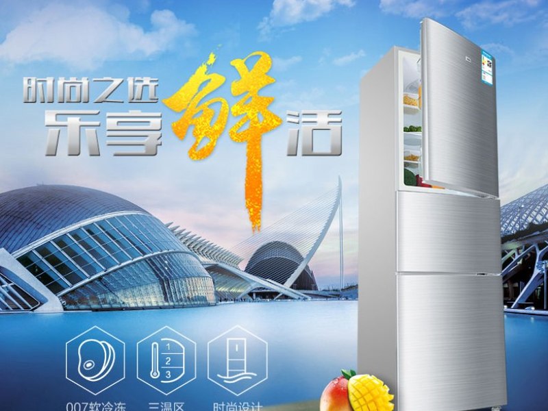 Haier海尔 BCD-206STPA.jpg