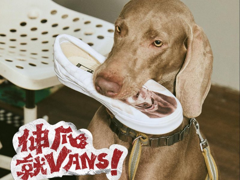 Vans“伸爪就VANS”整合营销