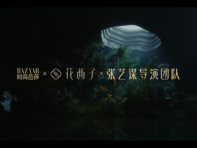 时尚芭莎x花西子x张艺谋导演团队《灵美东方 傣族印象》企划