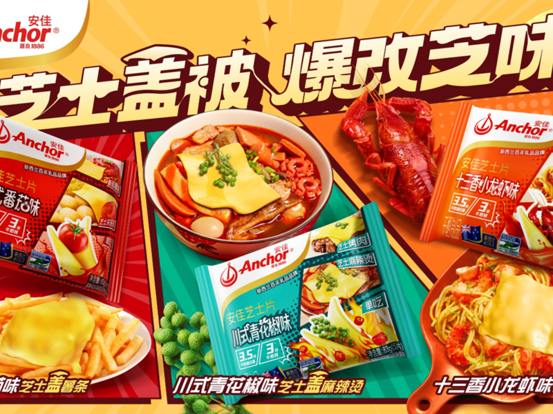安佳全新风味芝士片，产品0→1小红书全链路传播