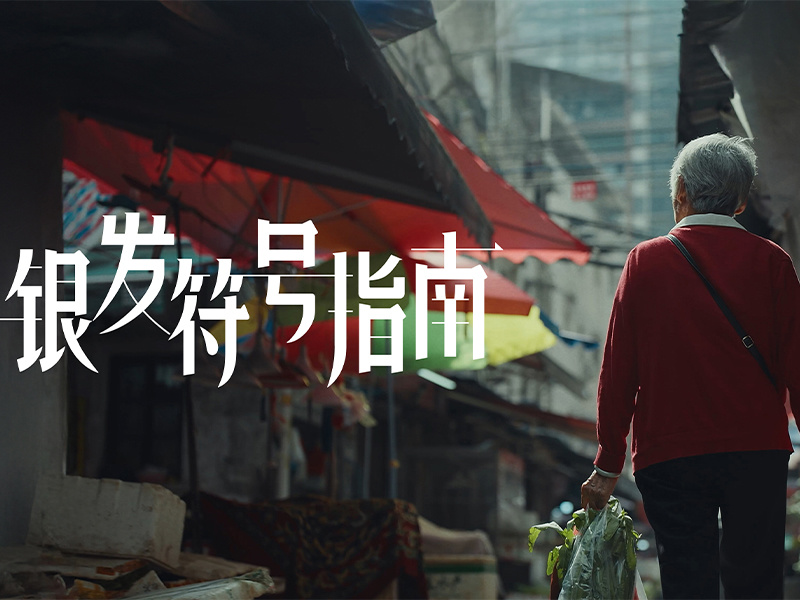 银发符号指南