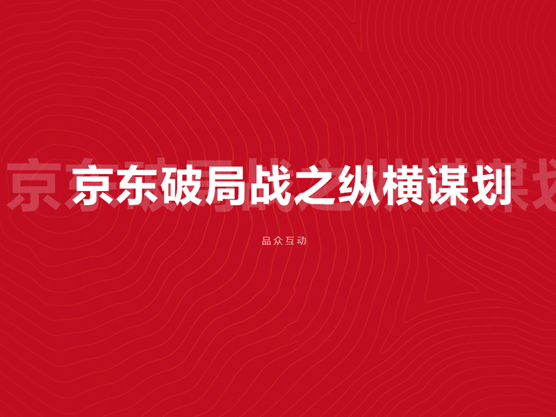 京东破局战之纵横谋划