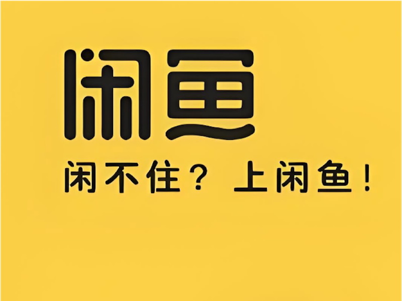 闲鱼以兴趣的种子，滋养用户长生命周期增长